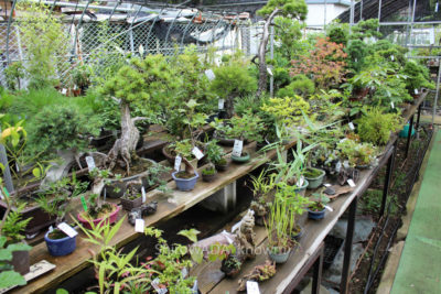 gs16075-14-5808jpg_28550211946_o