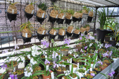 gs160804-6910jpg_28937370352_o