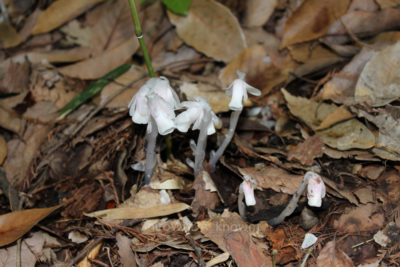 gs160802-361jpg_28440027714_o