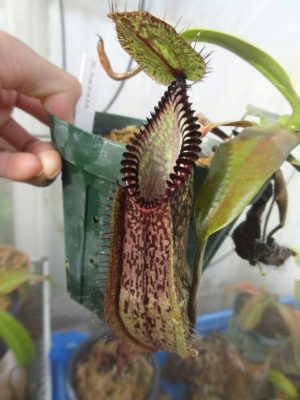 1466489101033_thum_sample