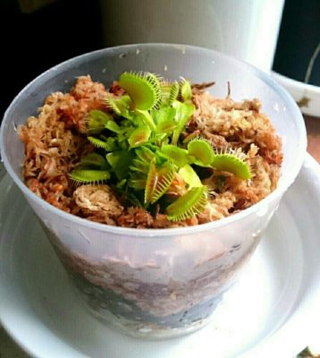 1468281531357_thum_sample