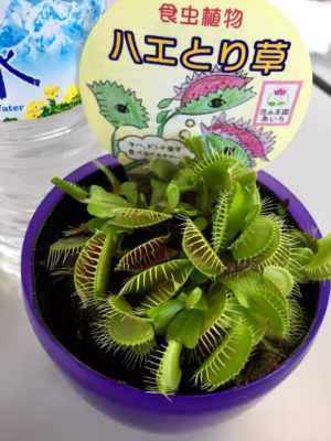 1470377387063_thum_tmp