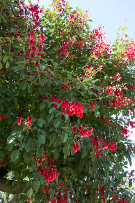 gs160803-9953jpg_28402040383_o