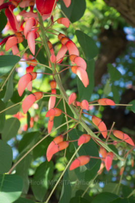 gs160805-9907jpg_28399103314_o