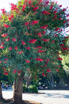 gs160808-9897jpg_28914207392_o