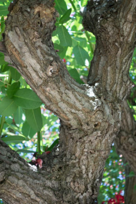 gs160810-9918jpg_28733100110_o