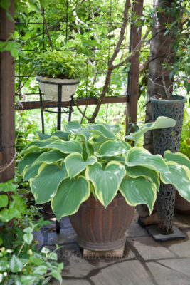 gs160808-4757jpg_28957844072_o