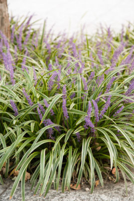 gs160809-0049jpg_28957845352_o