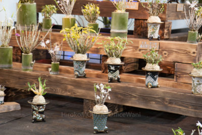 gs160812-4546jpg_28776954180_o