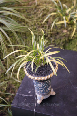 gs160813-0559jpg_28957850632_o