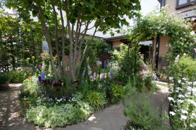 gs160814-1118jpg_28957852502_o