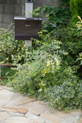 gs160815-1475jpg_28776962050_o