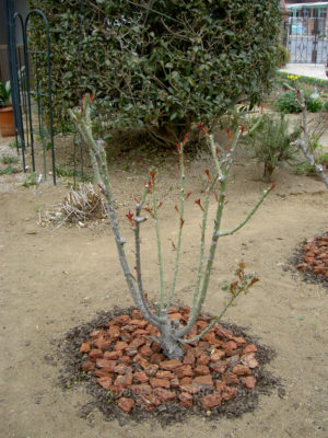 gs160804-5745jpg_28442580914_o