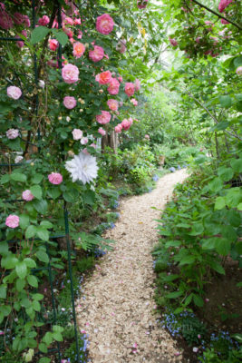 gs160805-6074jpg_29030590606_o