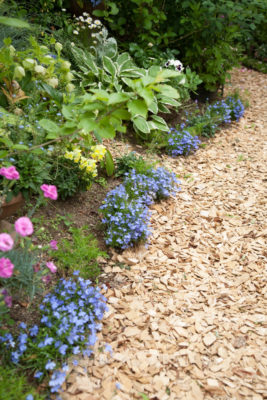 gs160806-6062jpg_29030592416_o